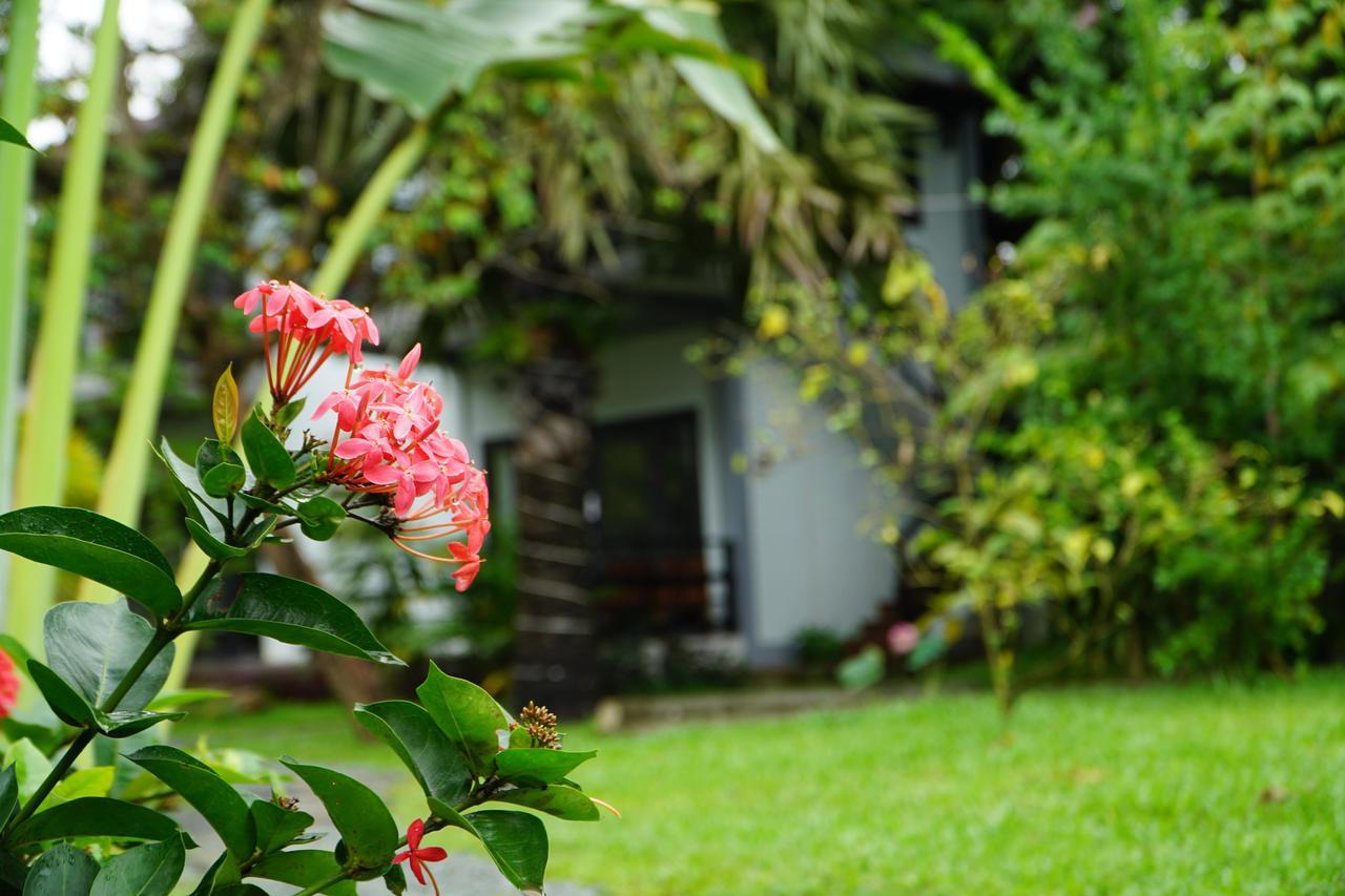 Salty River Resort Kampot Exterior photo